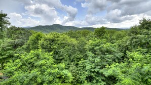 A dense forest with a mountain range in the background under a partly cloudy sky.