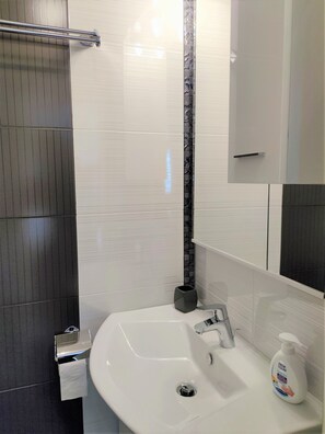 Shower, hair dryer, towels