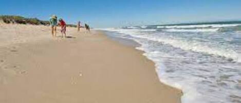 Sillas reclinables de playa, toallas de playa