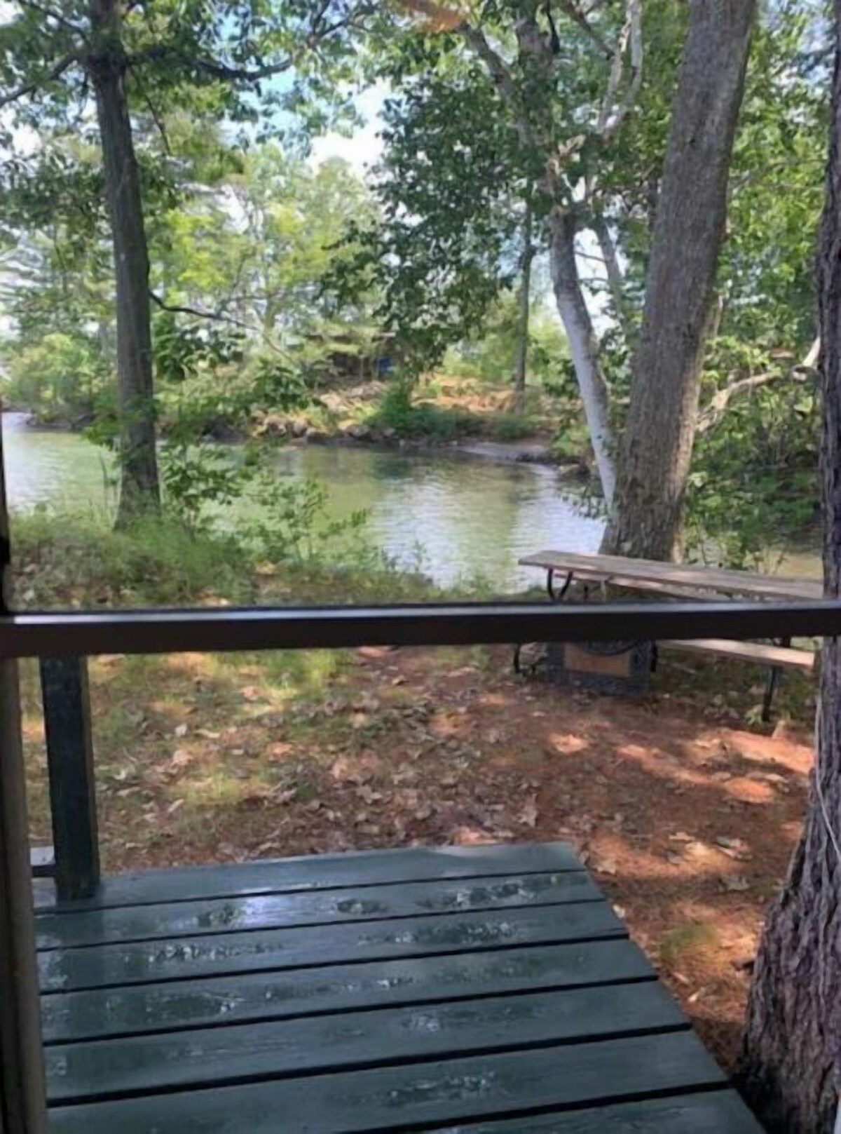 オーナーのプロフィール画像