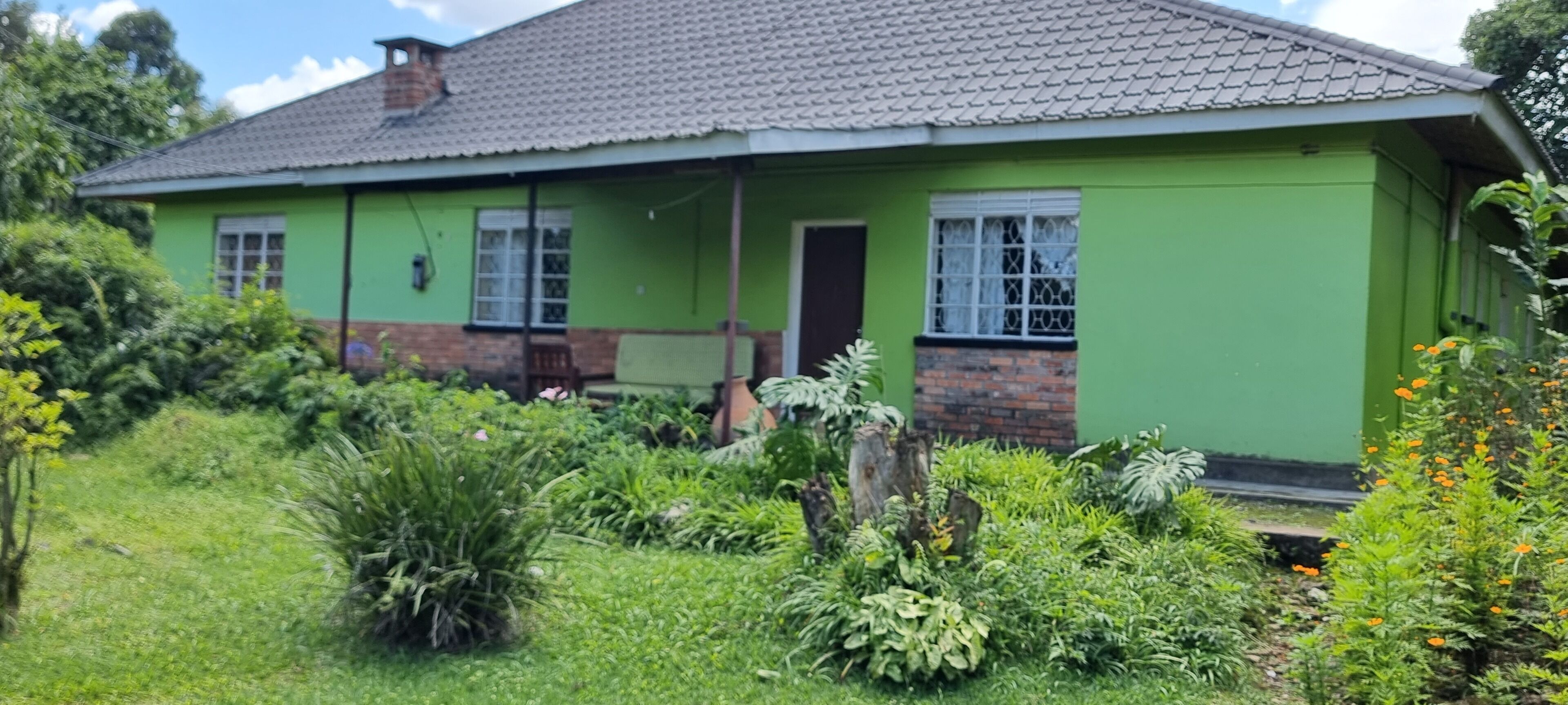 Ein grünes Haus mit Ziegeldach, umgeben von üppiger Vegetation und einem Garten.