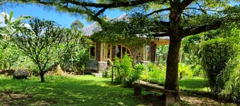 Mutolere Coffee Pot Guest Houses