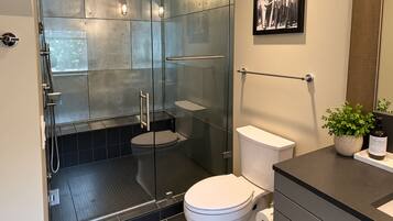 A modern bathroom with a glass-enclosed shower, a toilet, and a sink area.