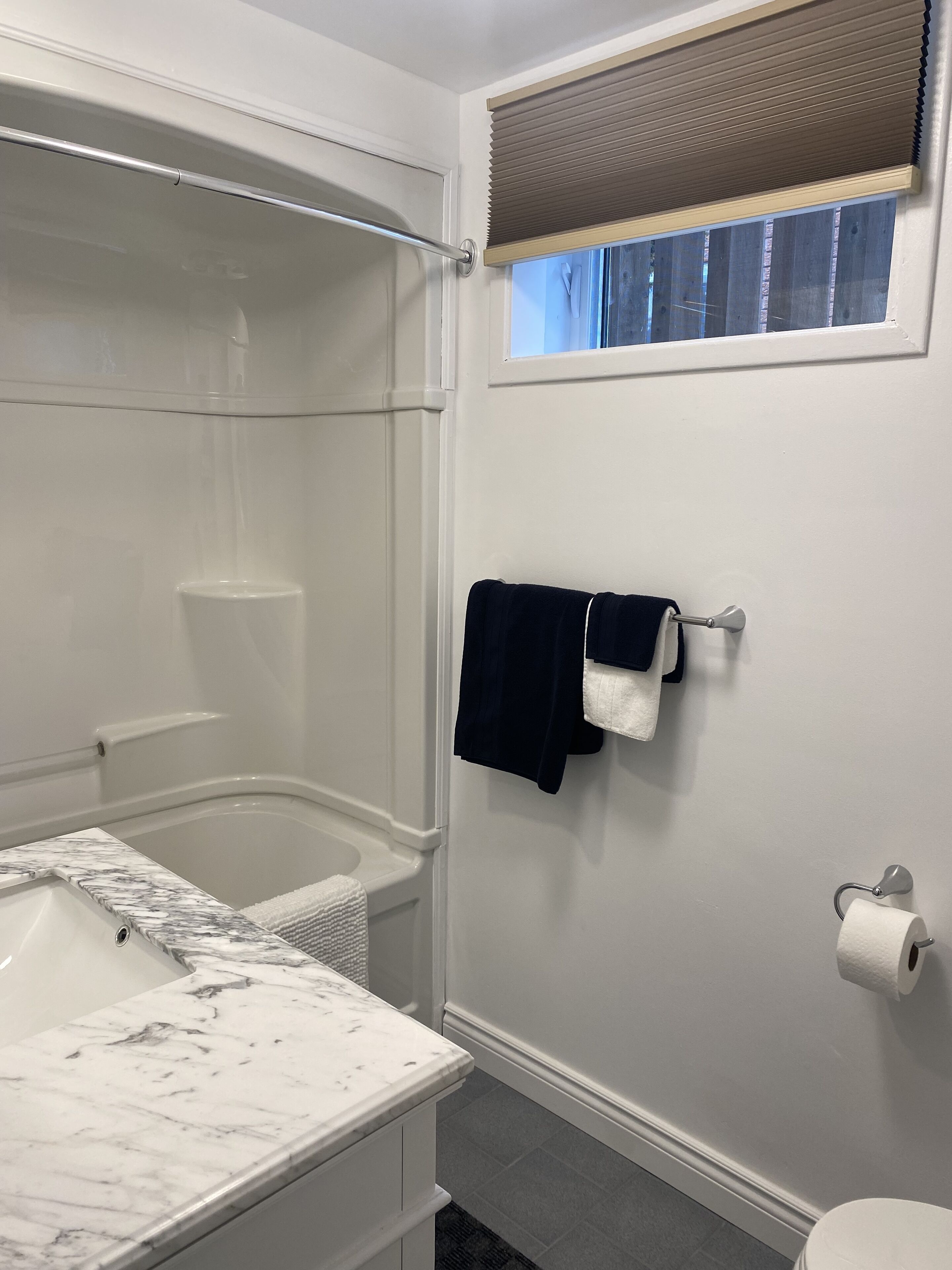 Hair dryer, towels, toilet paper