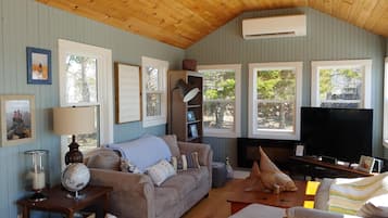 Una Smart TV, una chimenea, un reproductor de DVD