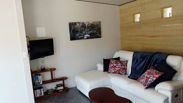 TV, fireplace, DVD player