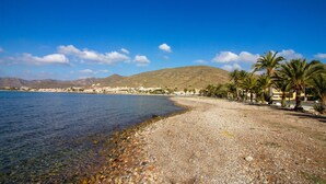 Une plage de galets bordée d’une eau cristalline, avec des palmiers et une montagne en arrière-plan.