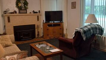 Smart-TV, Kamin, DVD-Player, Videothek