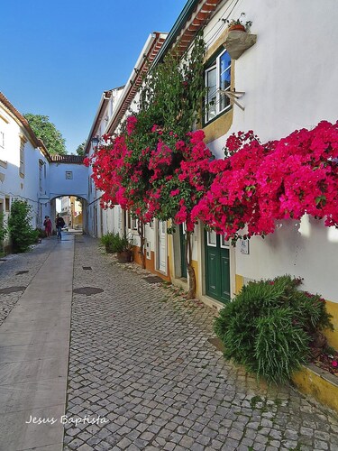 Family and Pet Friendly Home w Pool, Hottub, Outdoor Kitchen/Shower, BBQ, & More