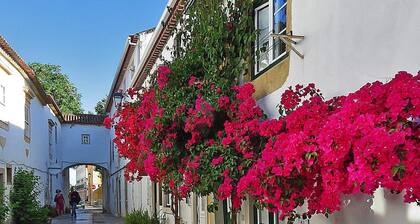 Family and Pet Friendly Home w Pool, Hottub, Outdoor Kitchen/Shower, BBQ, & More