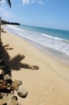 Sun-loungers, beach towels - Fortuna Paradise- Beachfront (Luquillo)