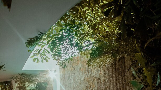 A pool area with a clear blue pool, surrounded by lush greenery and a bamboo wall. - Villa Mangle Casa Boutique (Cartagena de Indias)