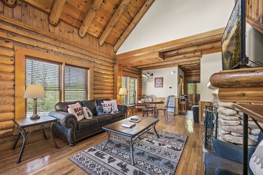 TV, fireplace, video games, DVD player