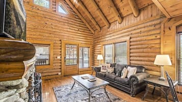 TV, fireplace, video games, DVD player