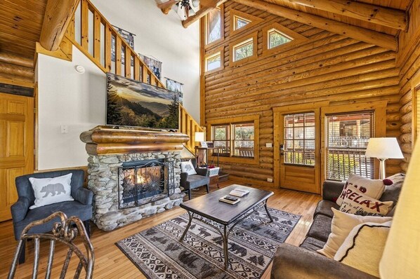 Télévision, cheminée, jeux vidéo, lecteur de DVD