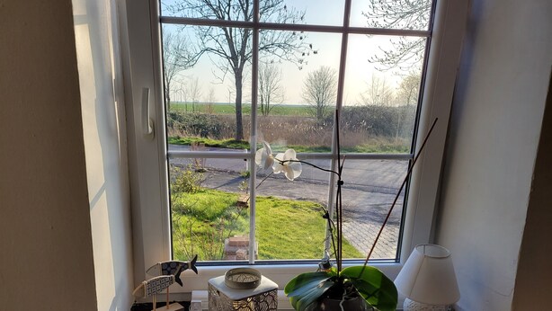 Ein Fenster mit Blick auf eine Straße und Grünflächen, ein dekorativer Fächer, ein Blumentopf und ein kleiner Tisch mit Kerzenhalter.