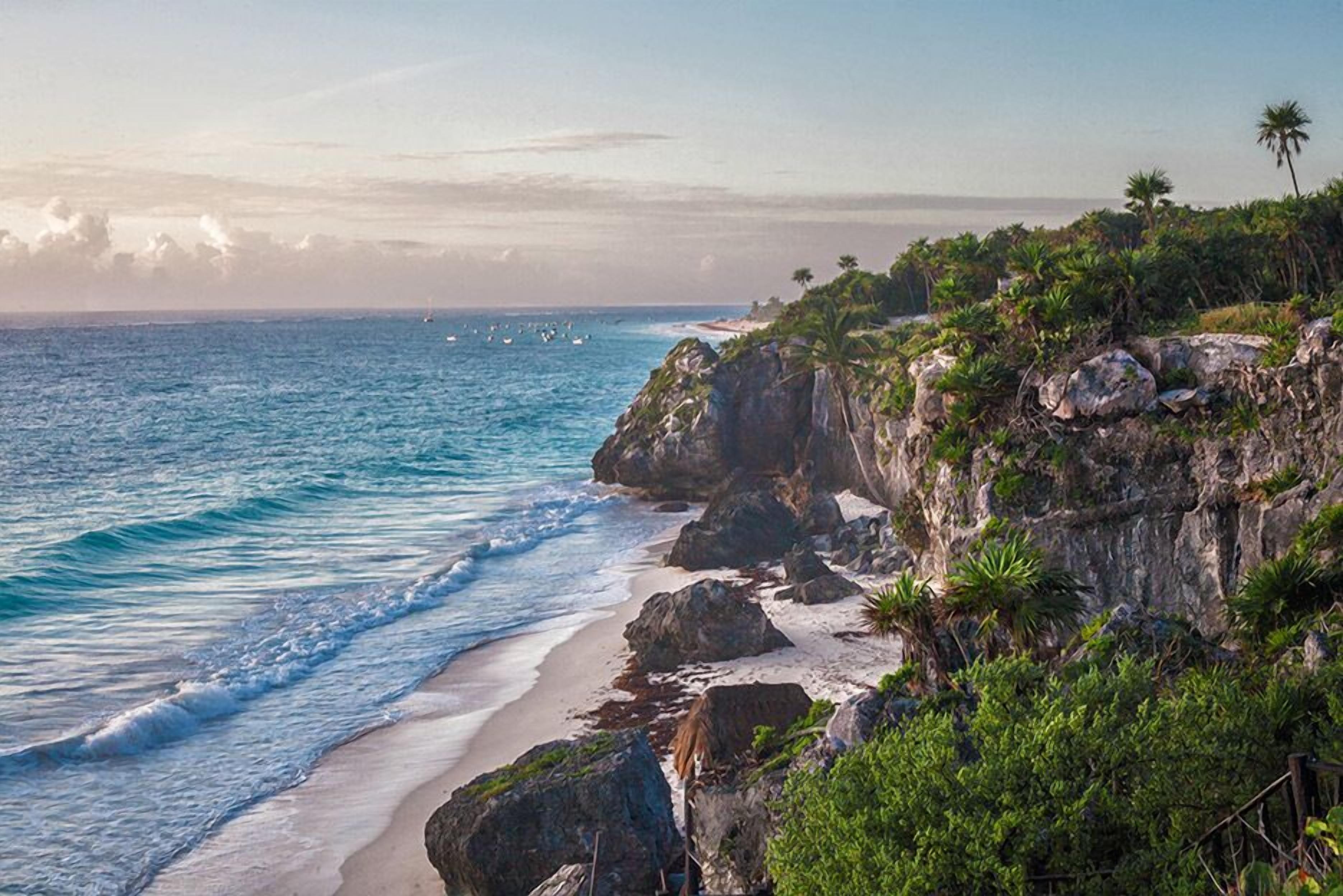 A coastal beach with rocky cliffs and palm trees.