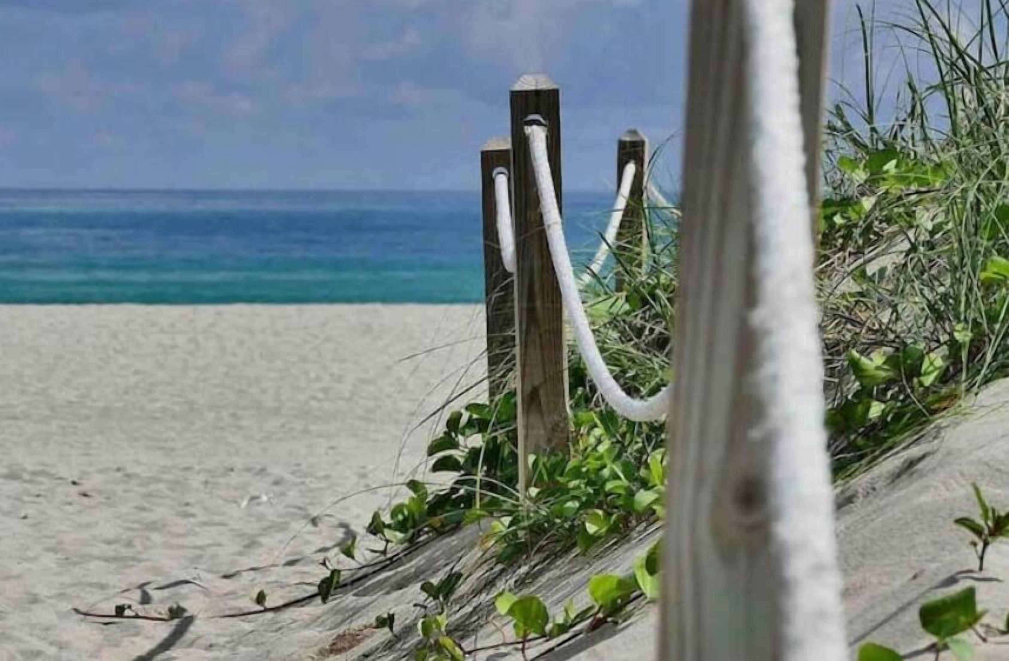 A beach with a wooden fence and some vegetation.