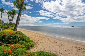 On the beach, sun-loungers, beach towels
