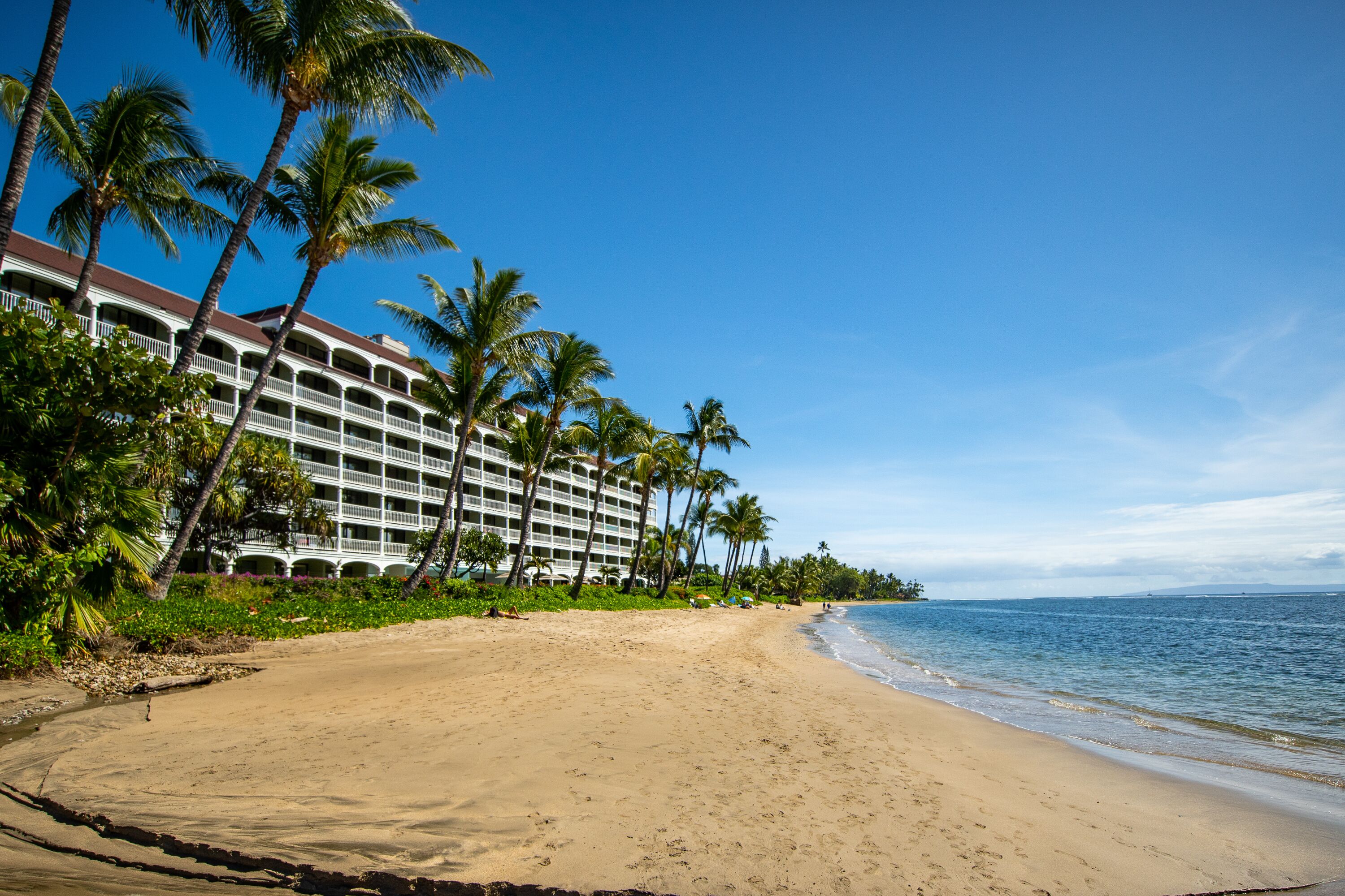 A beachfront hotel with a pool, palm trees, and a clear view of the ocean.