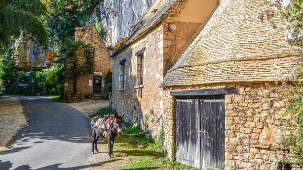 A donkey tethered to a stone building with a wooden door, surrounded by greenery and a cobblestone road.