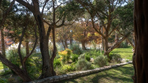 Property grounds - River Front cabin with access to shared pool! (Concan)