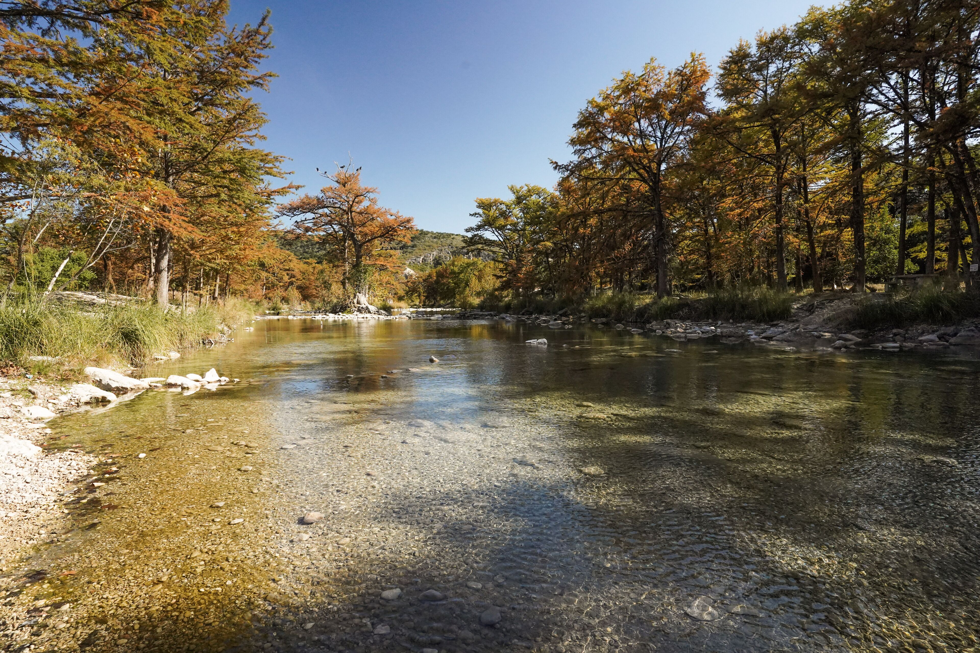 A clear river with a rocky bed, surrounded by trees with autumn foliage.
