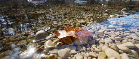 Un río transparente con piedras visibles y una única hoja de otoño flotando en la superficie.