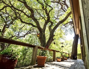 Property grounds - Secluded Family Getaway! (Concan)