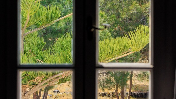 A door with four windows, each offering a view of different landscapes.