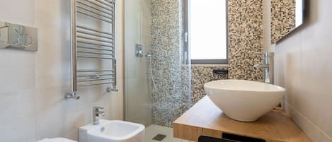 Shower, hair dryer, bidet, towels