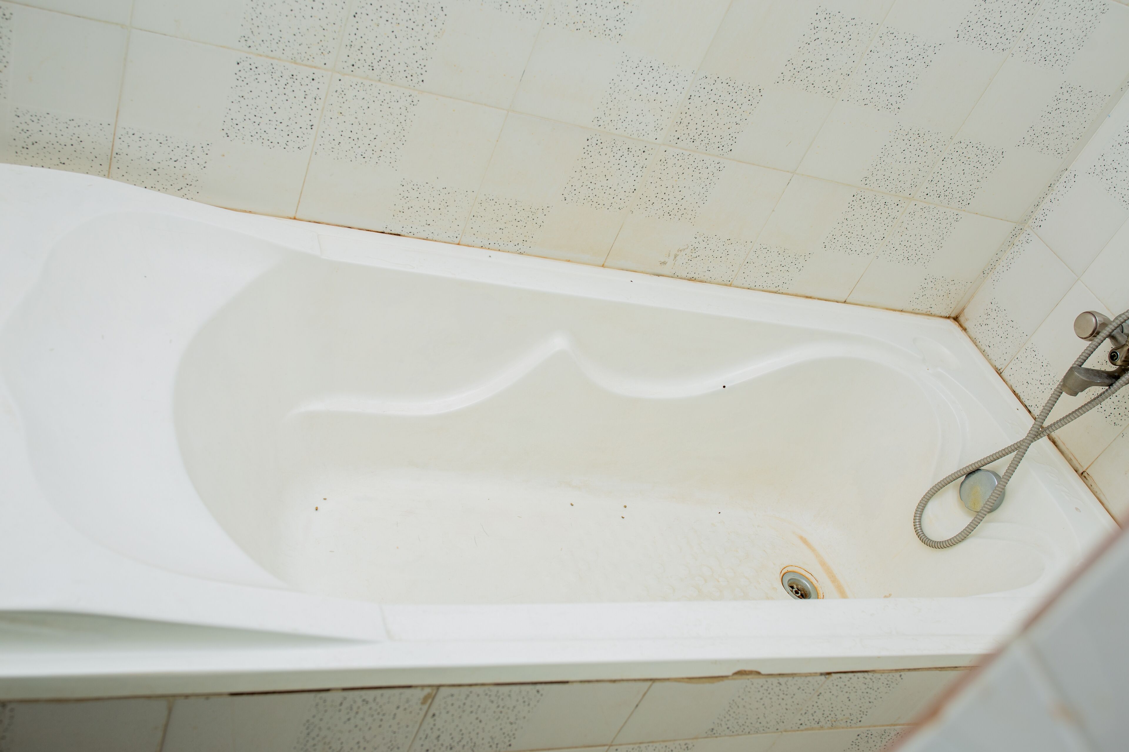 A bathtub with a shower head and drain.