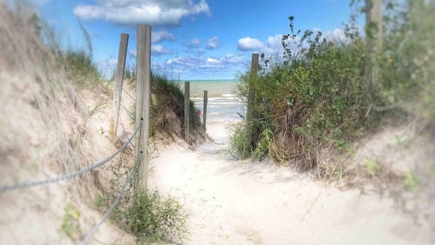 A sandy beach path leading to the ocean, surrounded by vegetation and wooden posts. - Romantic Couples Getaway Sauna, Hot Tub, Private Beach access, Hiking trails (Port Franks)