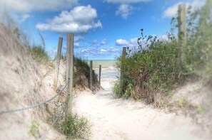 Ein Sandweg am Strand, der zum Meer führt, umgeben von Pflanzen und Holzpfählen.