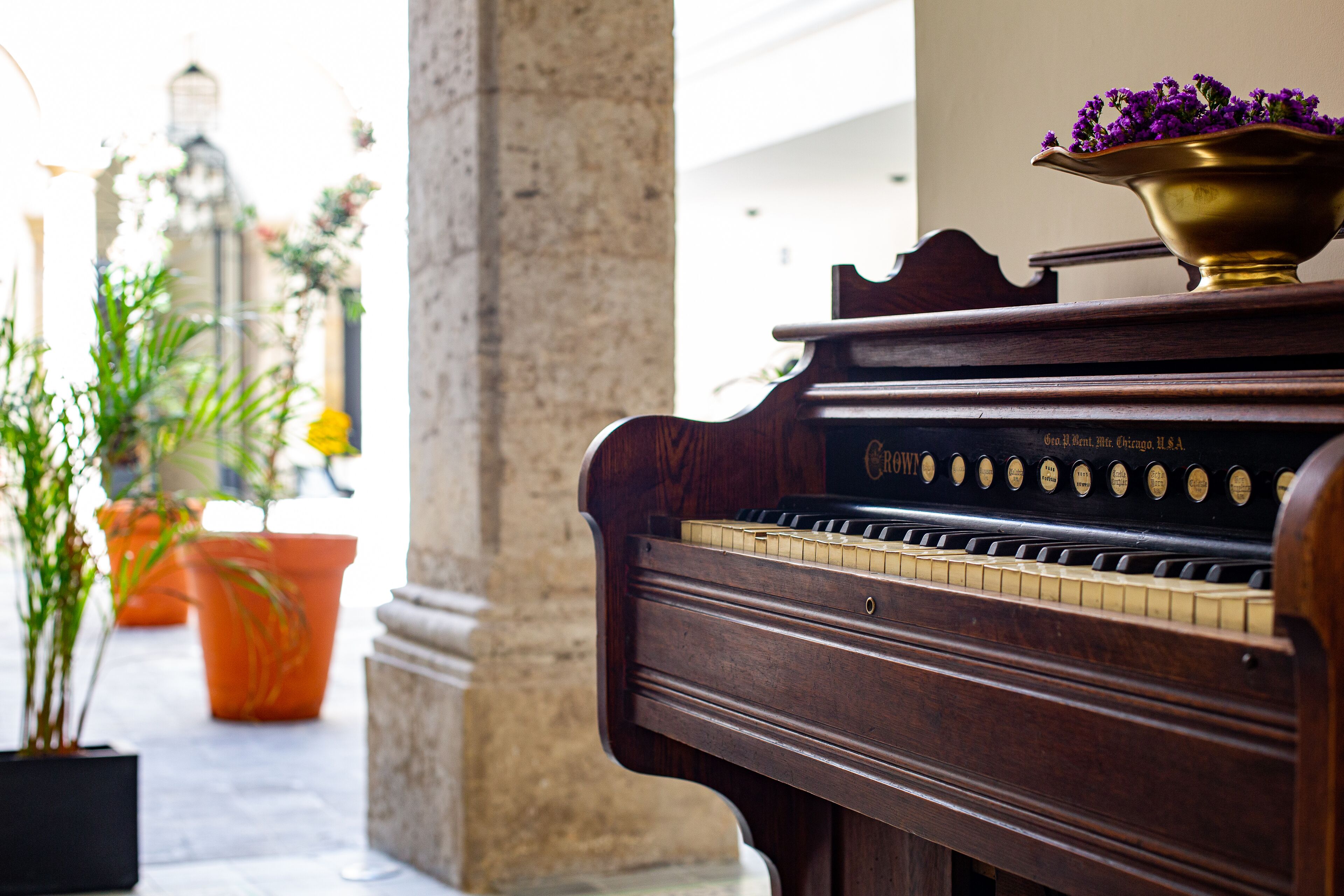 Foto - Palpatio Hotel Boutique