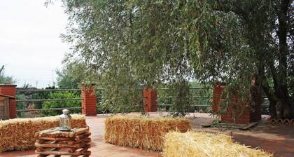 THE GARDEN OF ETNA - ETNA GARDEN COTTAGE