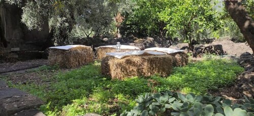 THE GARDEN OF ETNA - ETNA GARDEN COTTAGE