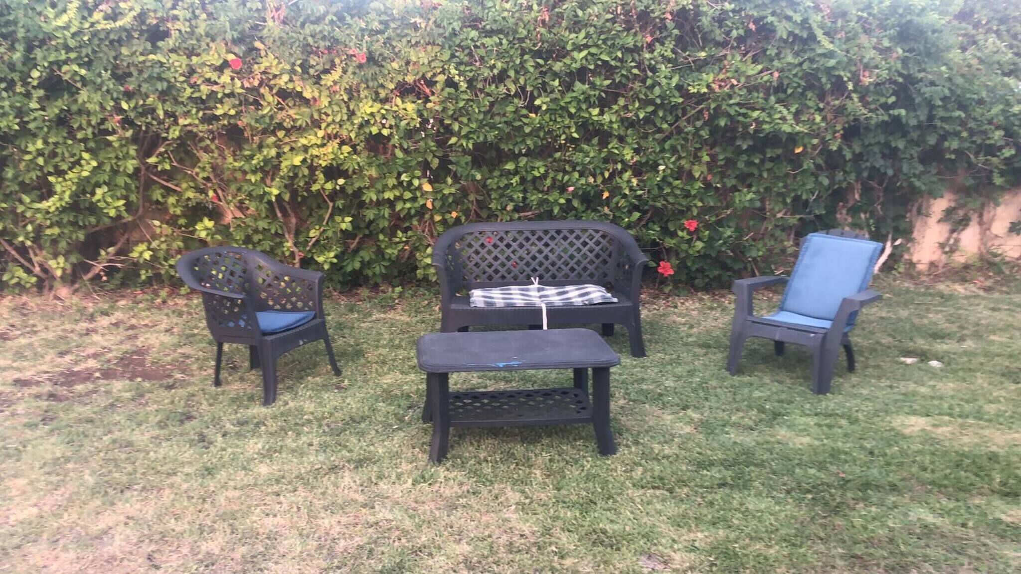 Terras