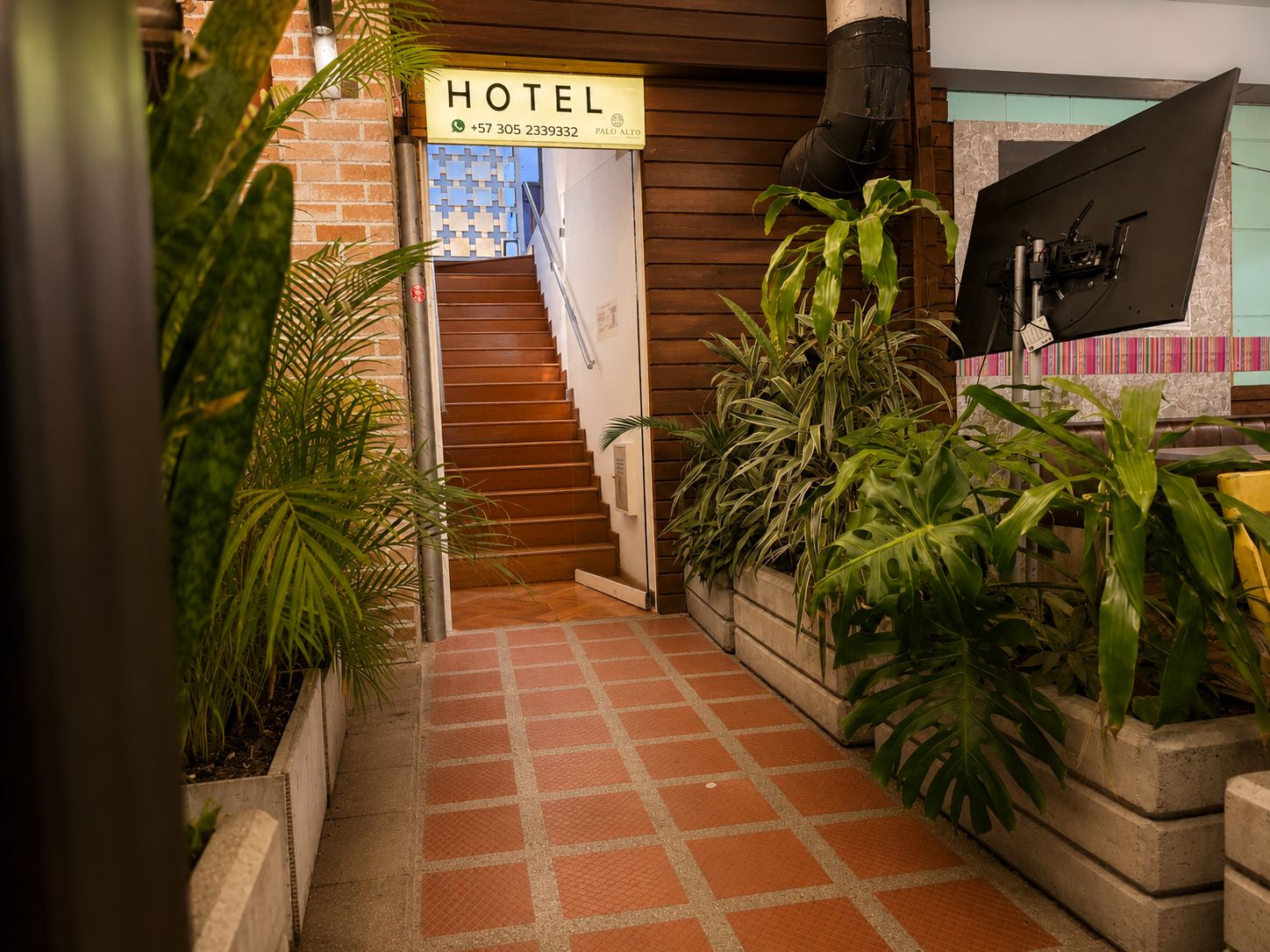 A hotel entrance with a staircase leading to the upper floor, surrounded by potted plants and a tiled floor.