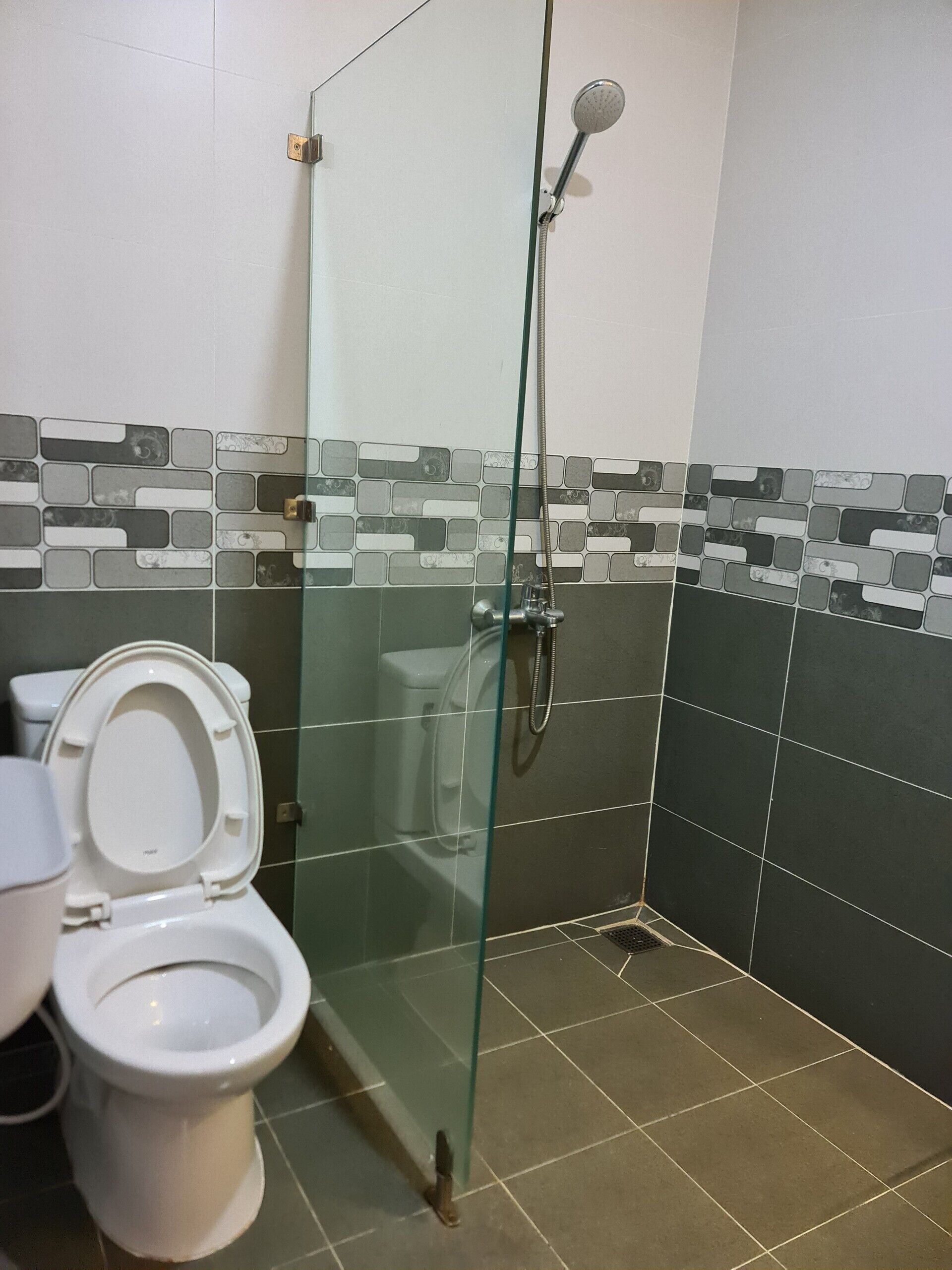 Une salle de bain avec une douche à parois de verre, des toilettes et un lavabo.