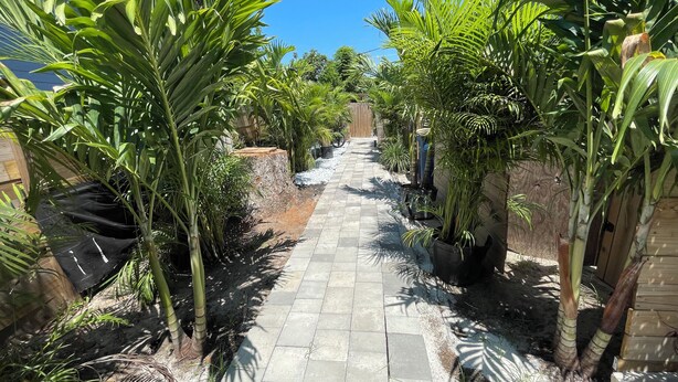 A paved pathway flanked by lush green plants and a wooden fence. -     Private Tropical Oasis in Coastal Paradise
W fenced yard. (Clearwater)