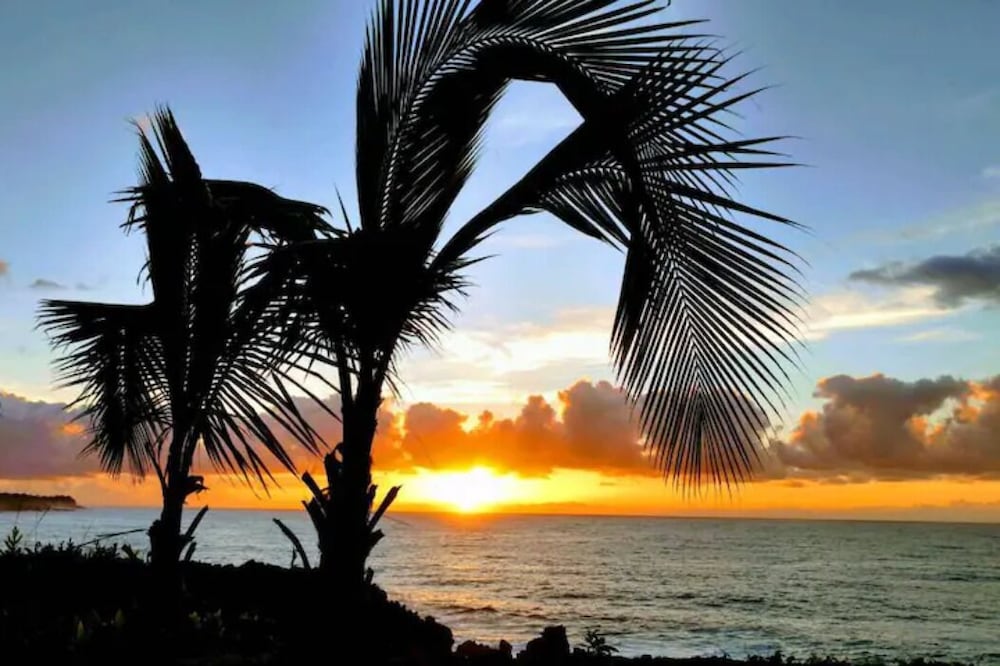 Tropical Garden Getaway - 2 BR