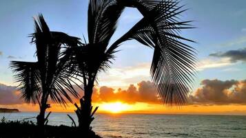 Sun-loungers, beach towels