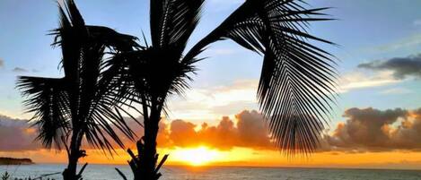 Sun-loungers, beach towels