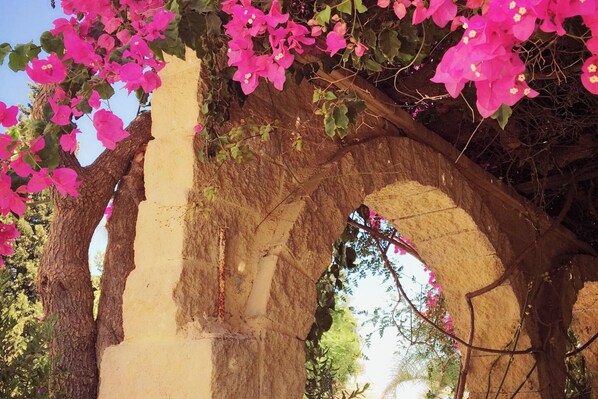 Exterior detail - Guesthouse Sleeps 2 - Pool Access (Benajarafe)