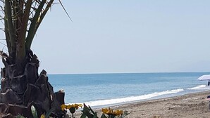 Een strand met een palmboom en gele bloemen op de voorgrond, en een helder uitzicht op de oceaan.