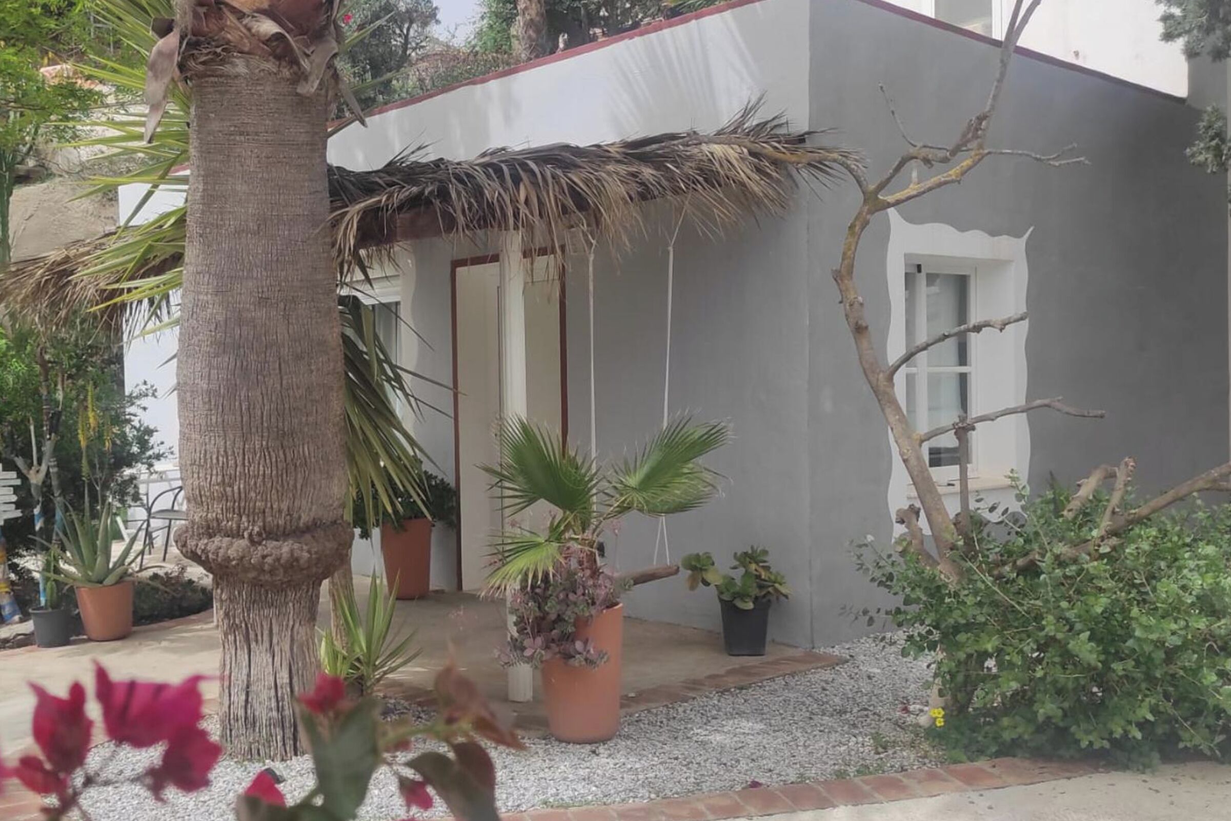 A modern building with a grey exterior, a thatched roof, and potted plants in the foreground.