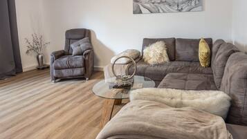 Fernseher, Kamin, DVD-Player