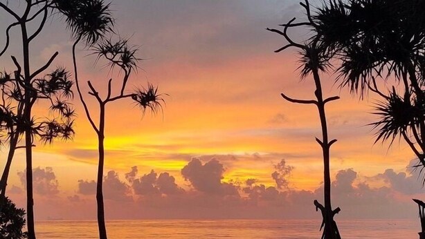 A beach with palm trees silhouetted against a sunset. - Walden Koh Lanta Tiny Homes by the Sea (Ko Lanta)