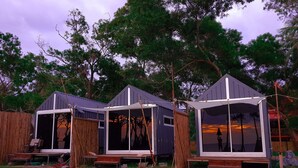 Three small, single-story cabins with large windows, surrounded by a wooden fence and trees. - Walden Koh Lanta Tiny Homes by the Sea (Ko Lanta)